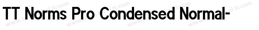 TT Norms Pro Condensed Normal字体转换